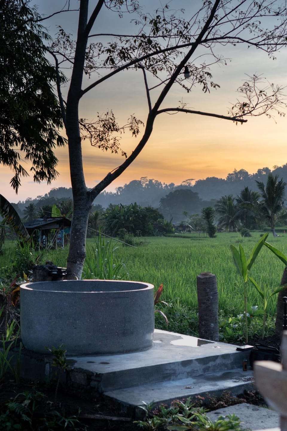 Natural landscape, Garden view, Sunset, Bath