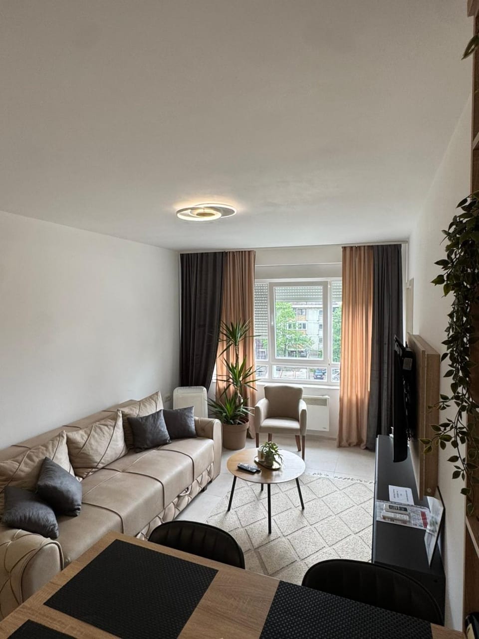 Bed, Living room, Photo of the whole room, Seating area, Bedroom
