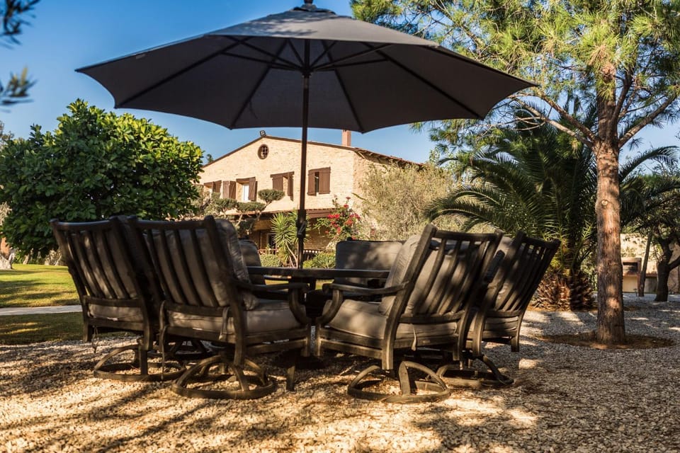 Patio, Summer