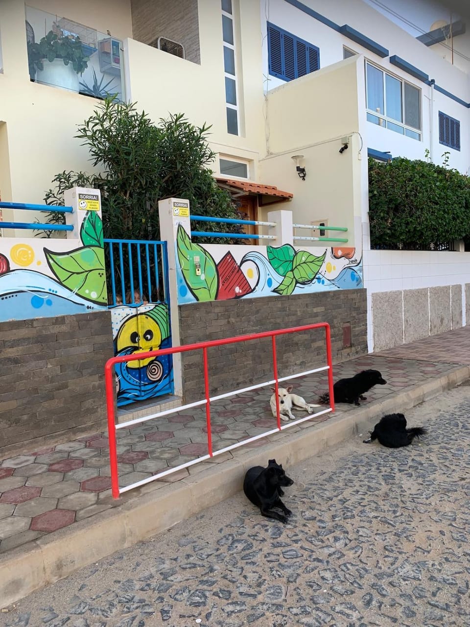 Day, Neighbourhood, Animals