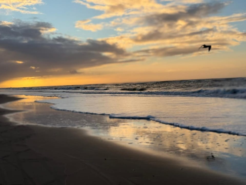 Natural landscape, Beach, Sunset