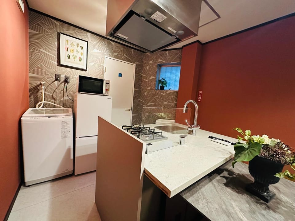 Kitchen or kitchenette, stove, washing machine
