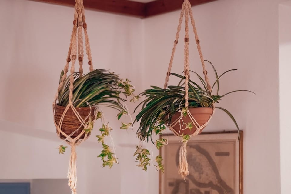L'Antic Alguer Apartment in Alghero