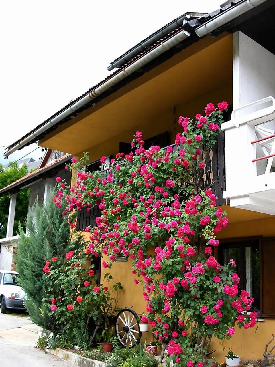 Property building