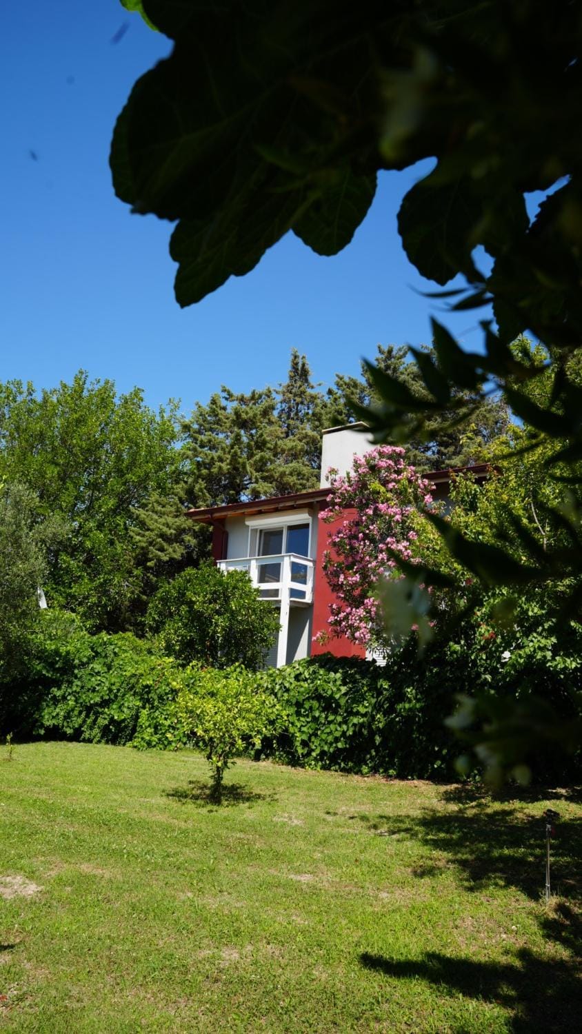 Property building, Spring, Day, Natural landscape, Garden, Garden view