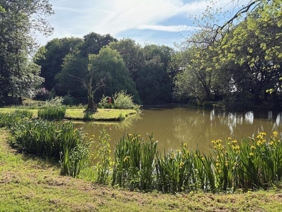 Fishing, Garden