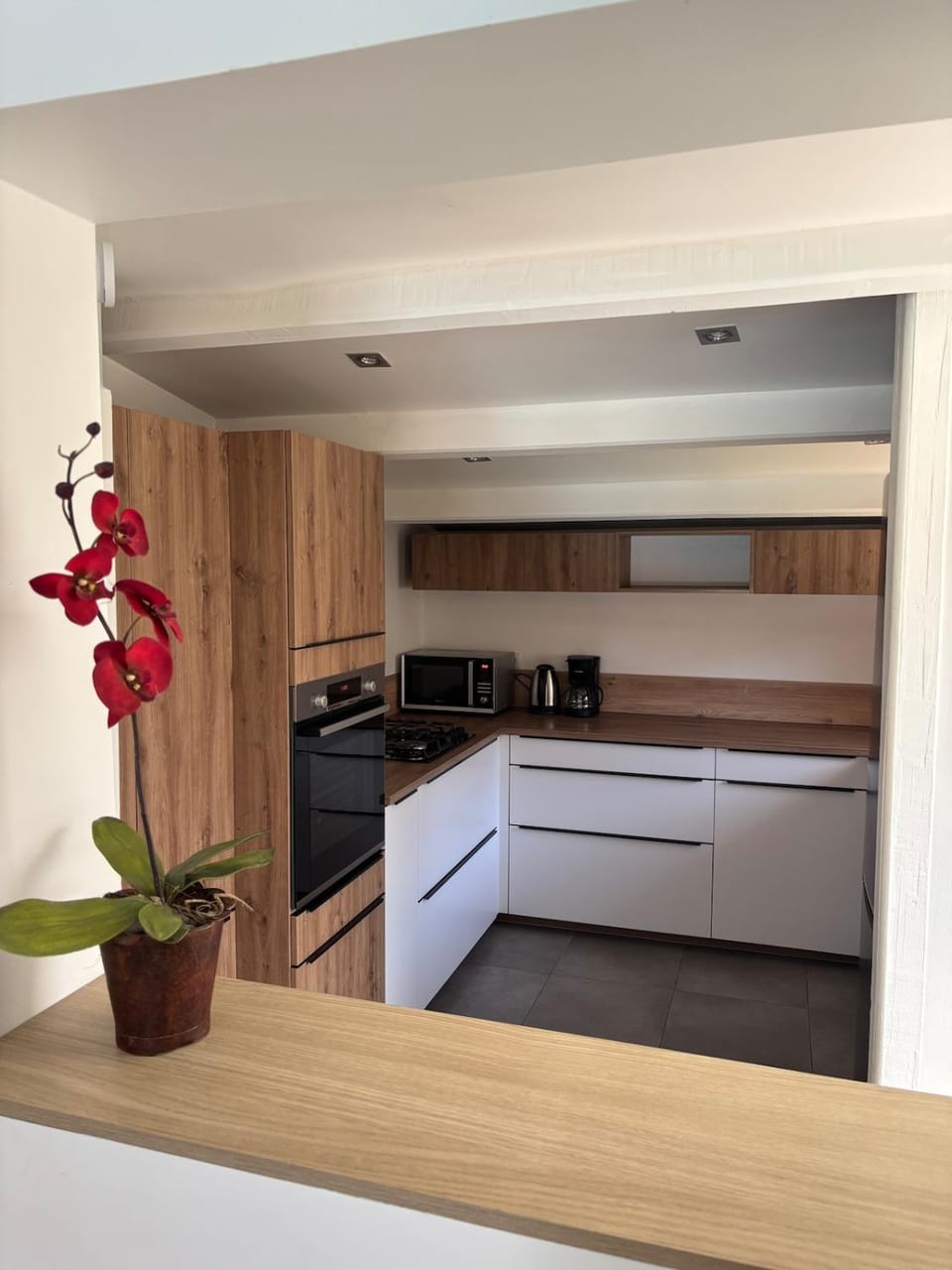 Villa near Cannes with private pool Villa in Mougins