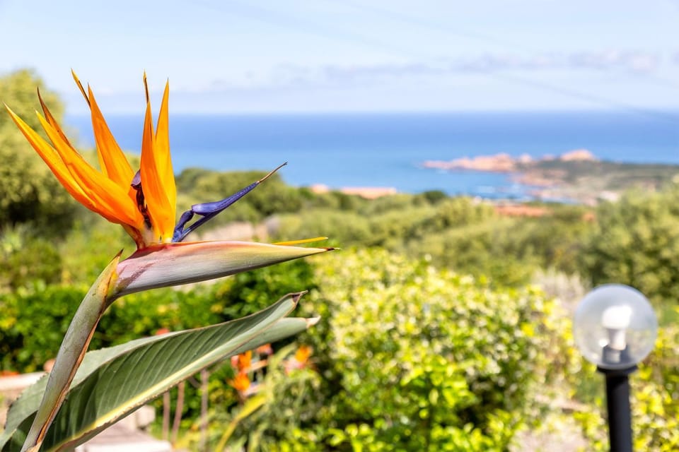 Sea View Isola Rossa Apartment 6 House in Sardinia