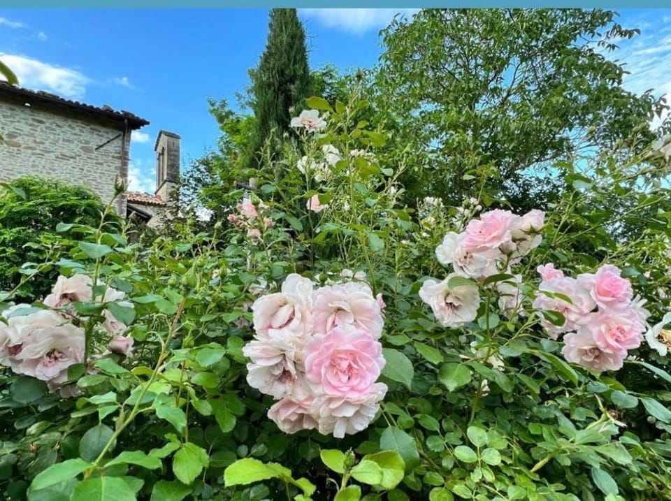 Borgo Spescia - La Teodorico- Piscina Parco Relax Bed and Breakfast in Emilia-Romagna