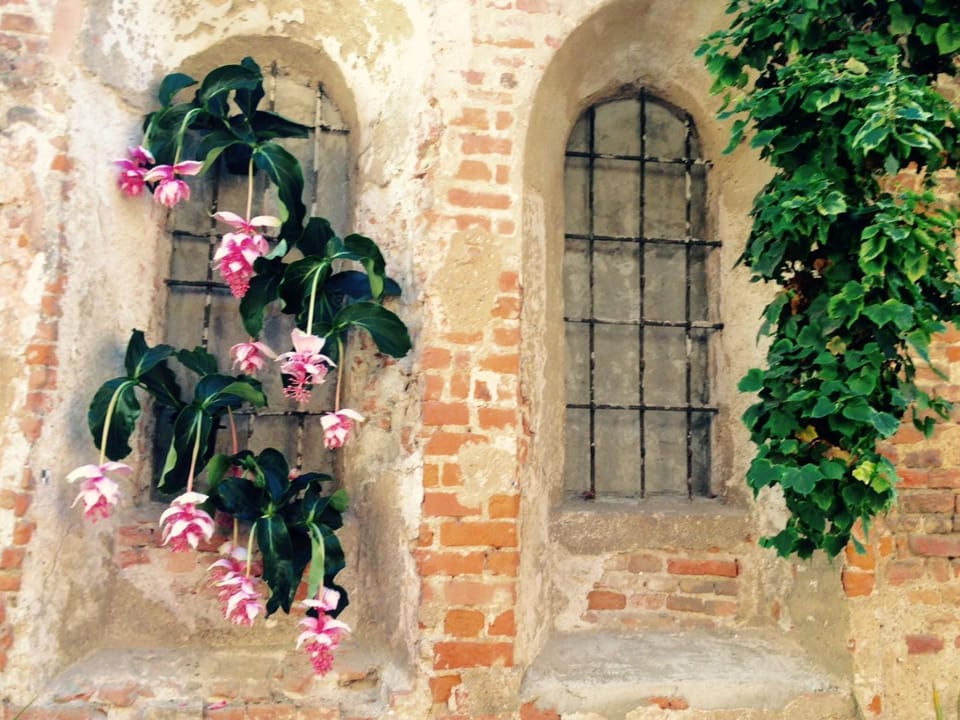 Mood-Siro Comi Bed and Breakfast in Lombardy