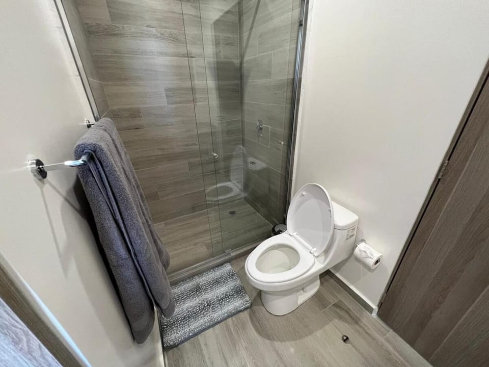Shower, Toilet, Bathroom, towels