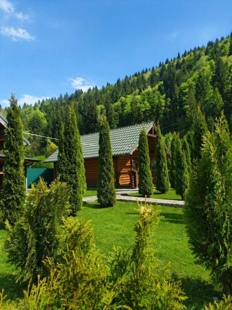 Skywood Apartment in Ukraine