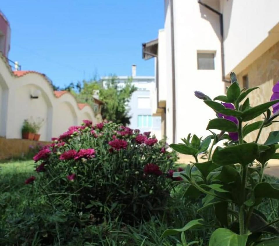 Siana House Hostel in Nessebar
