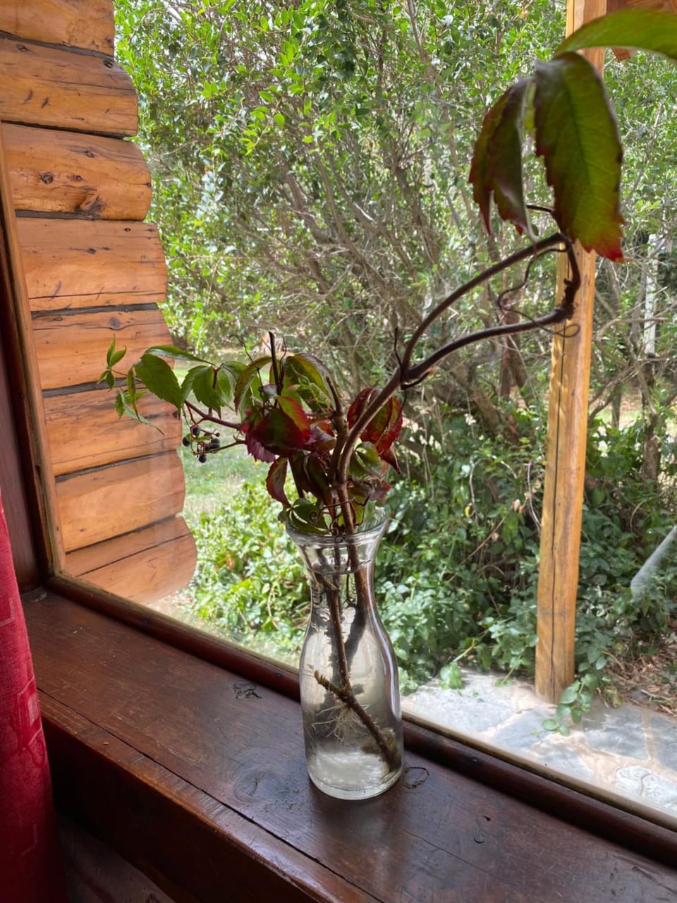 Garden, Garden view
