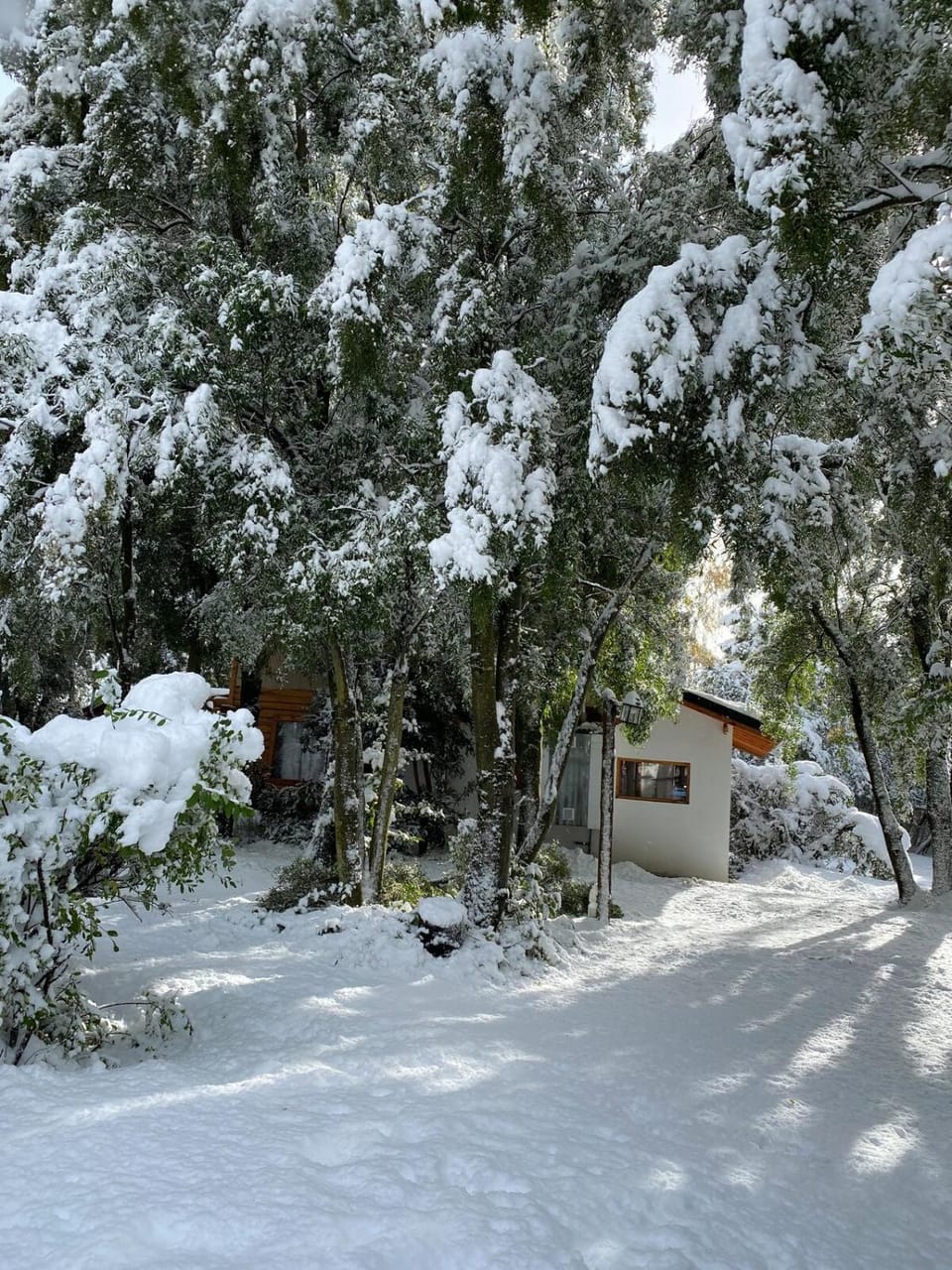 Property building, Off site, Garden
