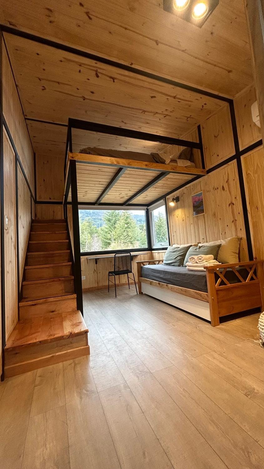 Bed, Photo of the whole room, Bedroom, bunk bed