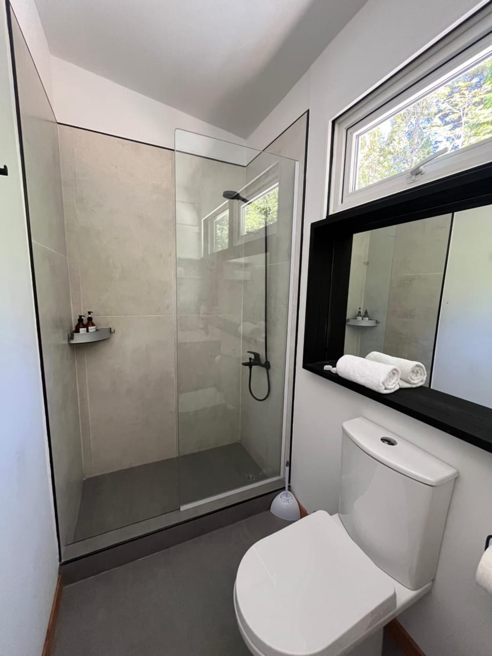 Shower, Toilet, bidet, towels