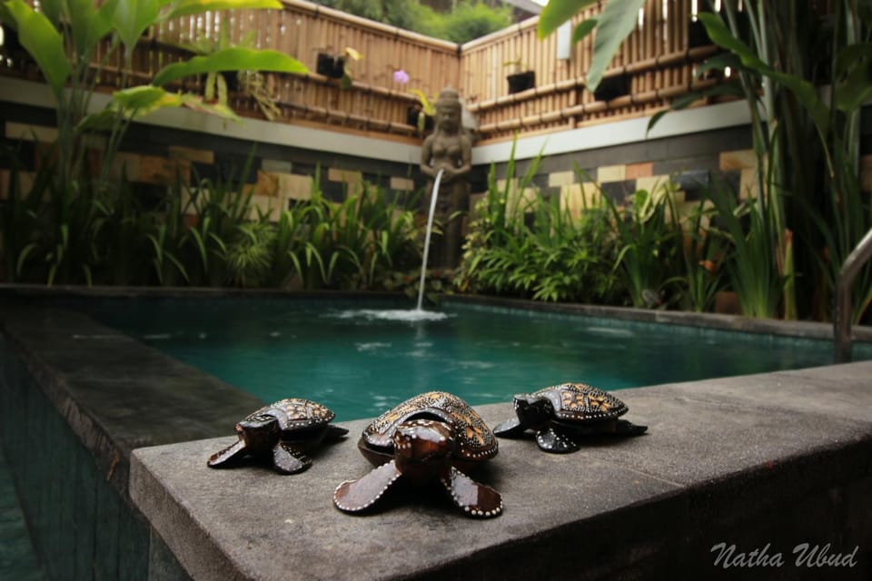 Property building, Pool view, Swimming pool