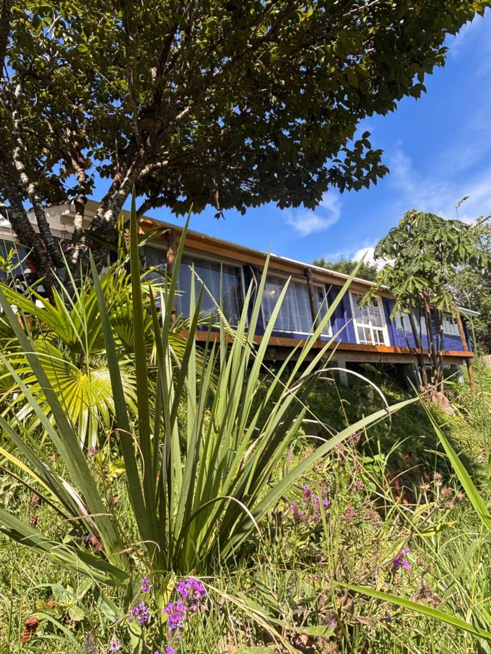 Recanto dos Pássaros House in State of São Paulo