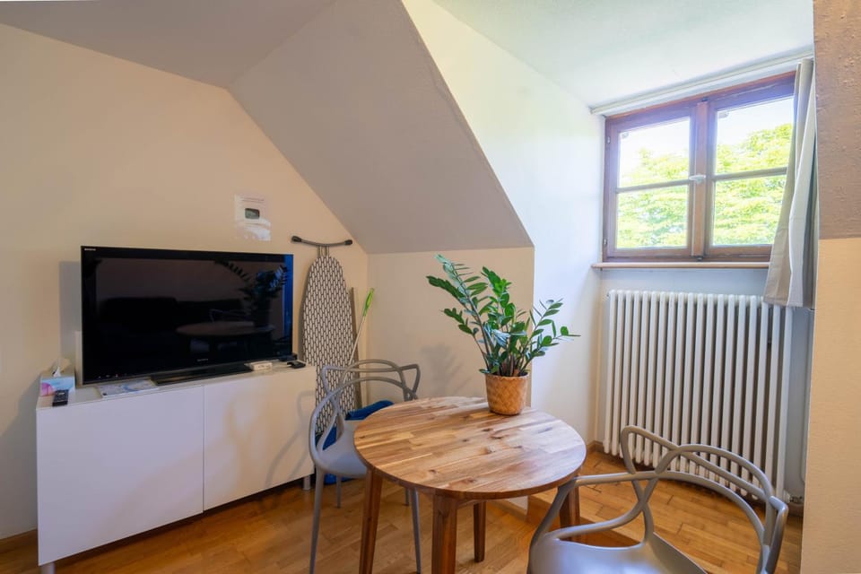 TV and multimedia, View (from property/room), Living room, River view