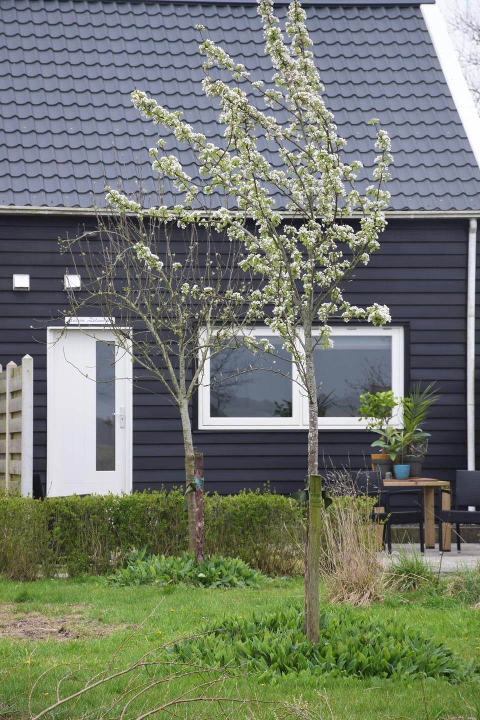 Maison Zélandaise Apartment in Koudekerke
