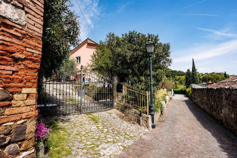 Neighbourhood, Street view