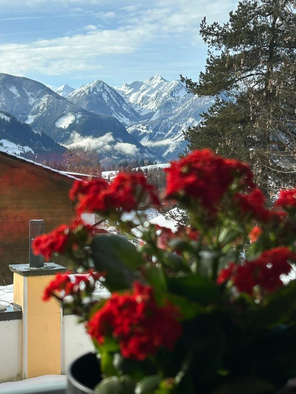 Pension Savisalo Bed and Breakfast in Salzburgerland