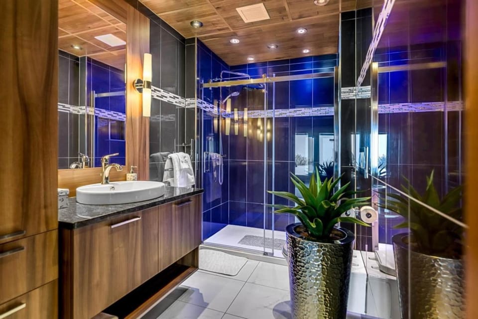 1 Bedroom Unit with Garden view House in Quebec