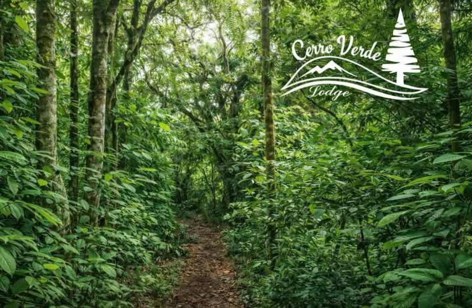 Cerro Verde Glamping Hotel in Cartago Province, Costa Rica