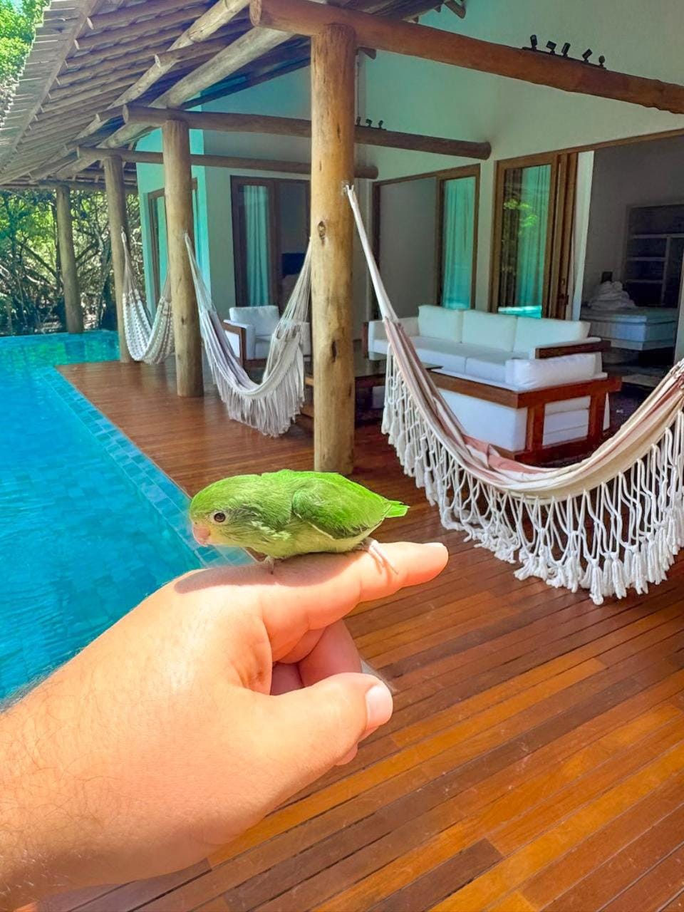 Balcony/Terrace