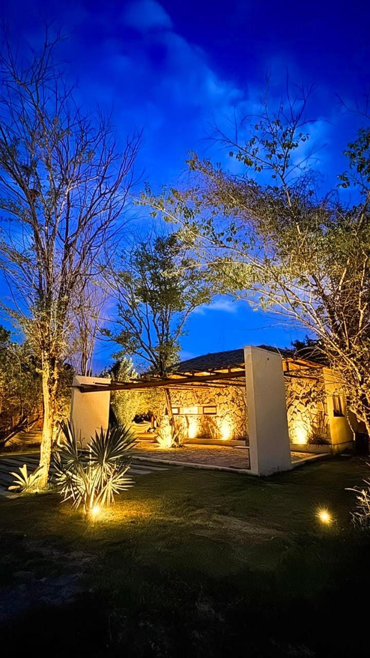 Night, Garden, Garden view