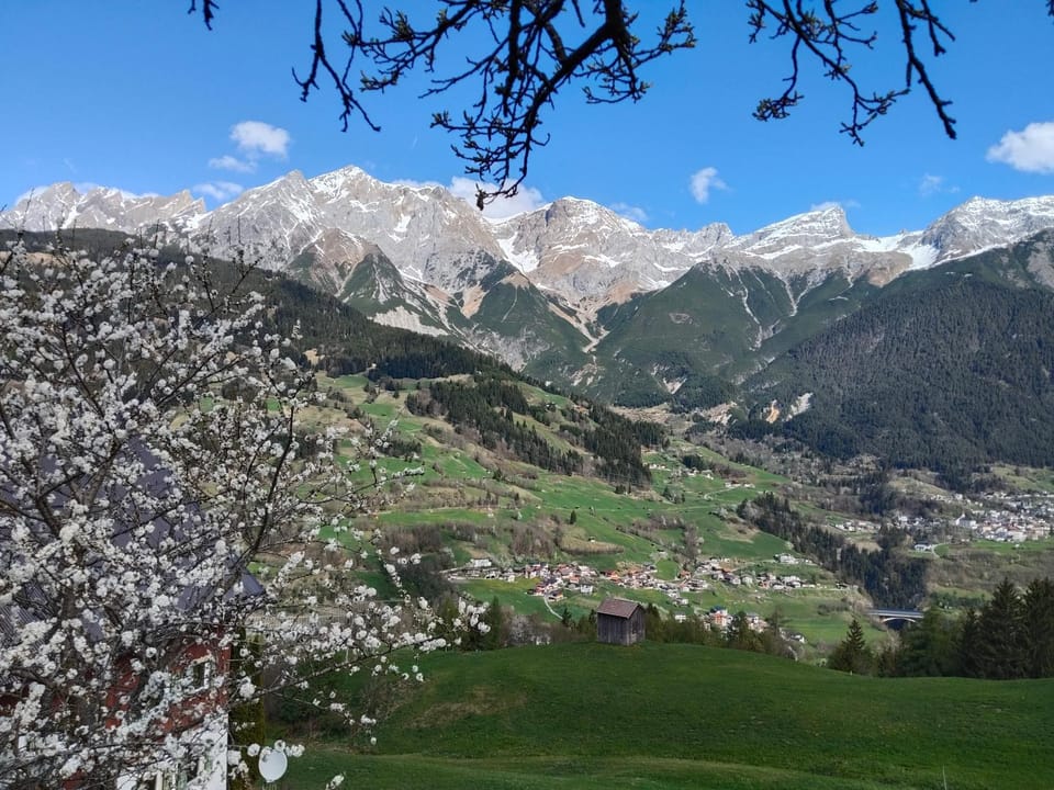 Mountain view