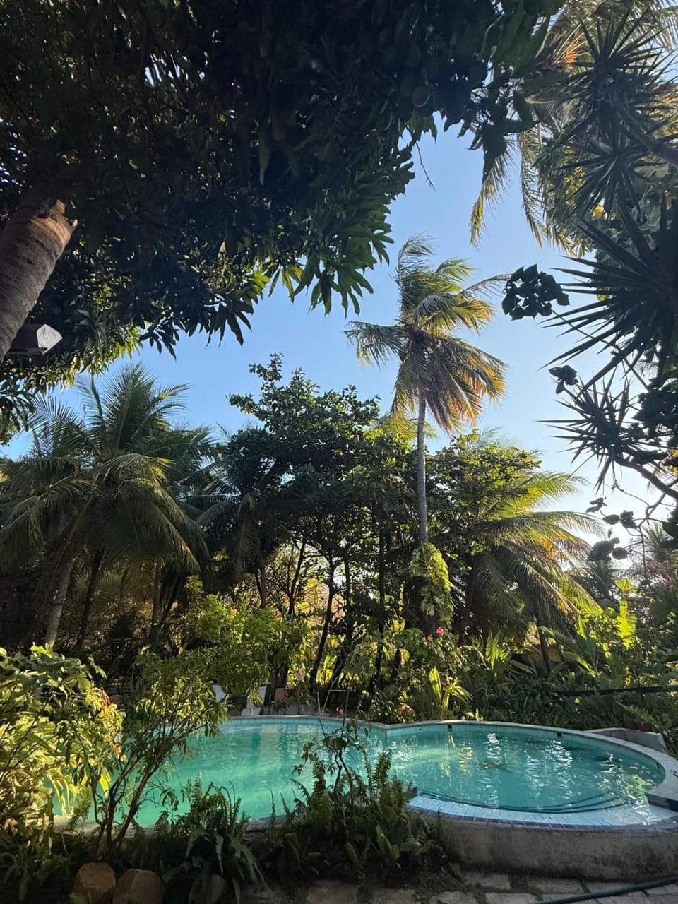 Pool view