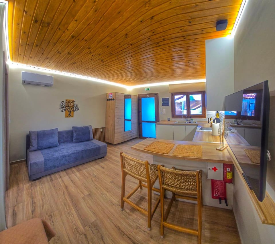 Vista Mare 2 Apartment in Samos, Greece