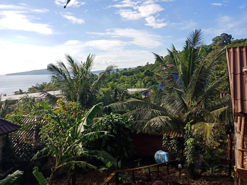 Sea view