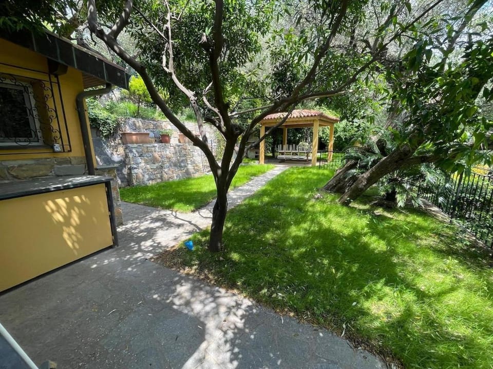 La villetta tra ulivi e colline House in Liguria
