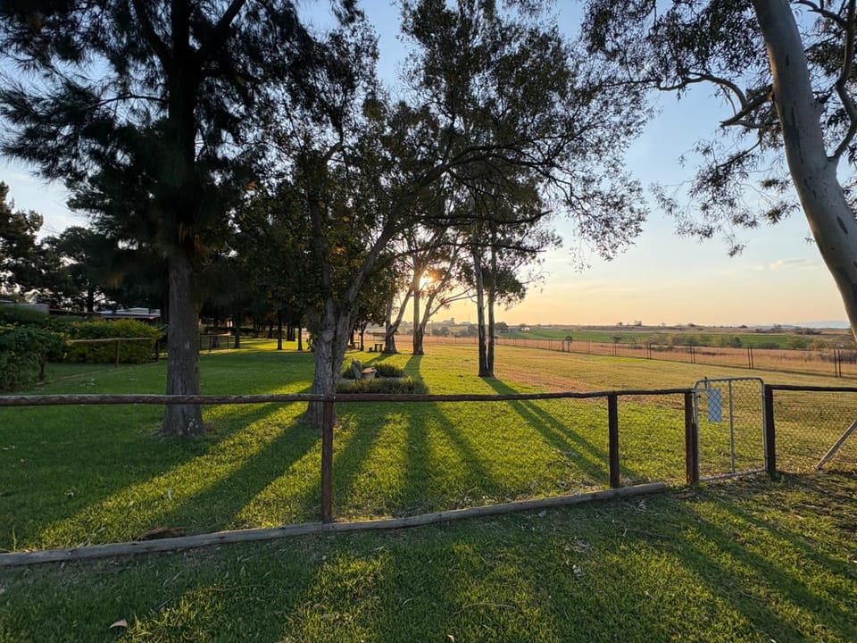 Natural landscape, Garden, Sunset