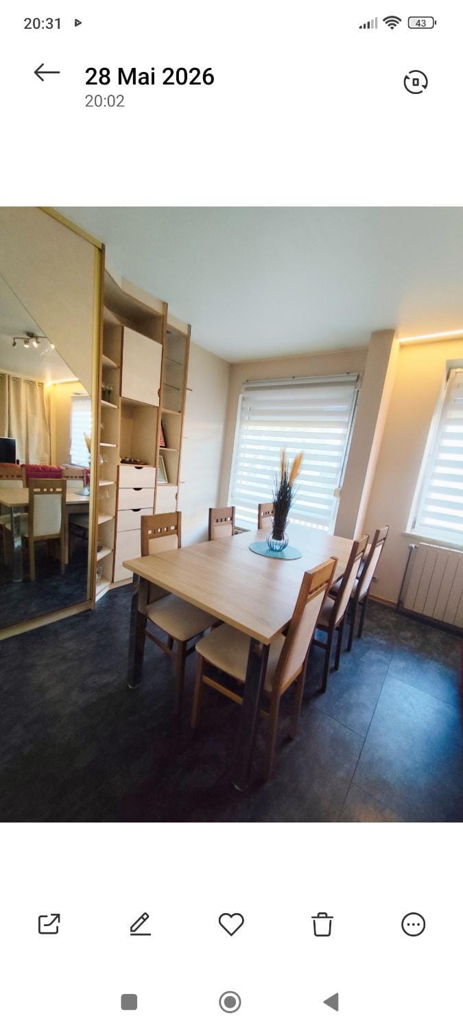 Appartement spacieux Apartment in Ortenau