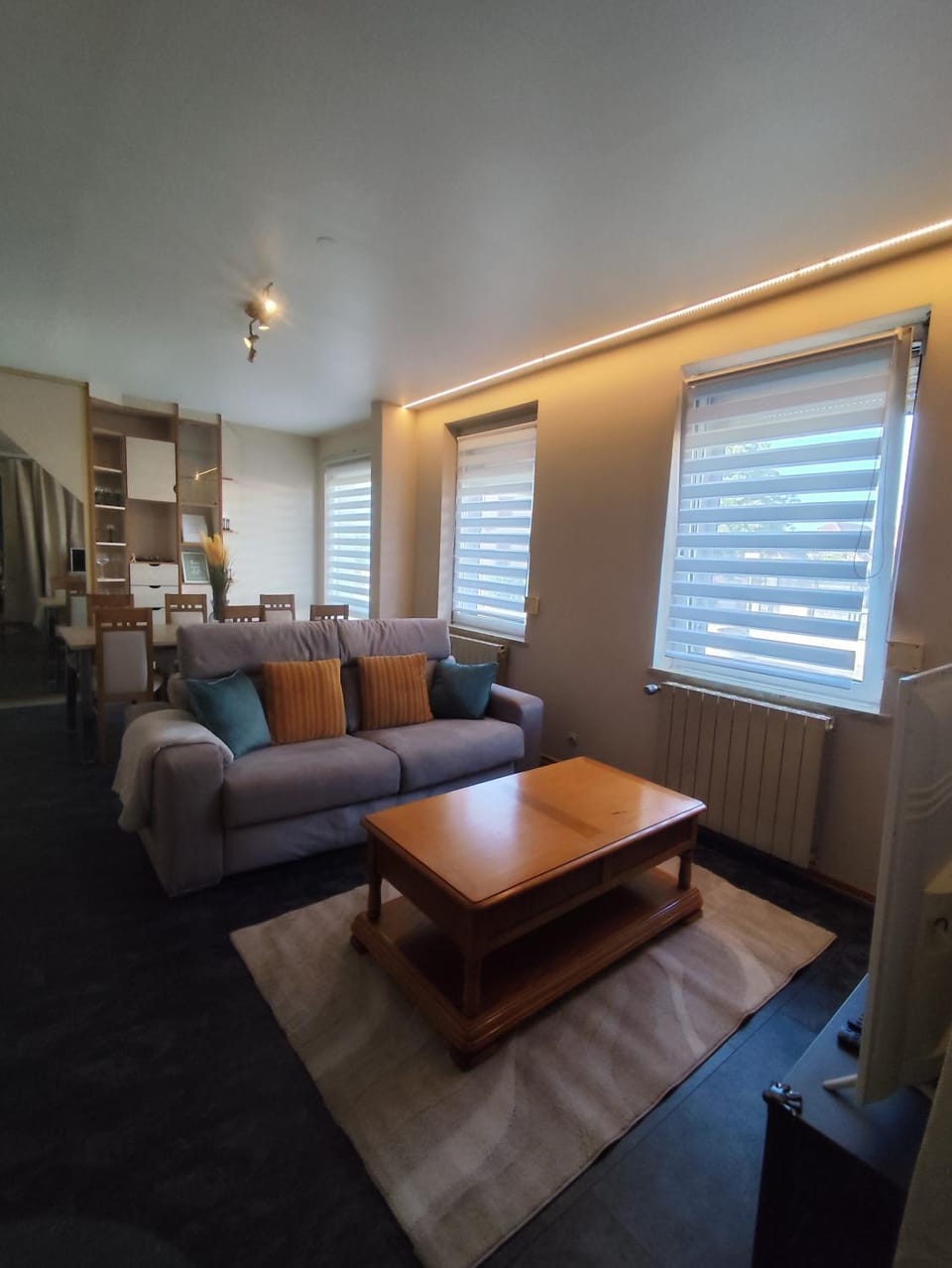 Appartement spacieux Apartment in Ortenau