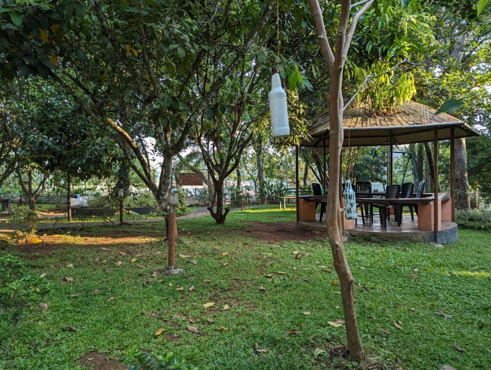 Peninsular wood Resort Resort in Kerala