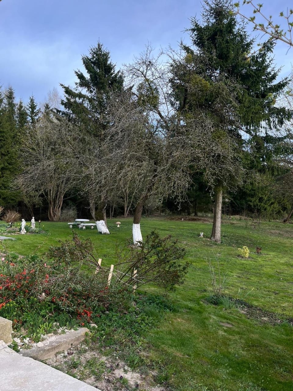 Natural landscape, Garden
