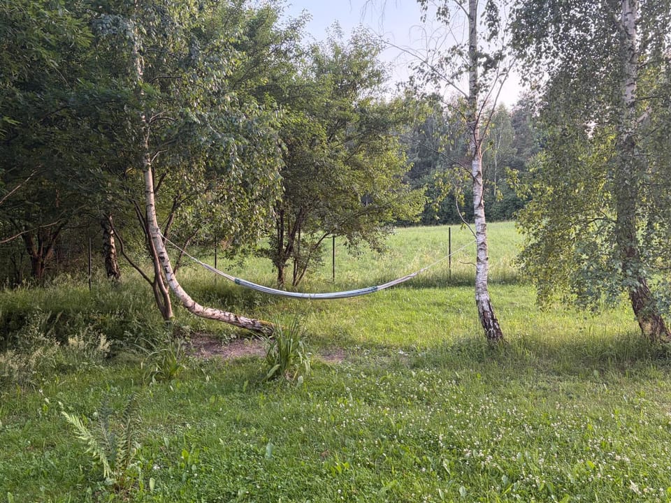 Garden, Garden view