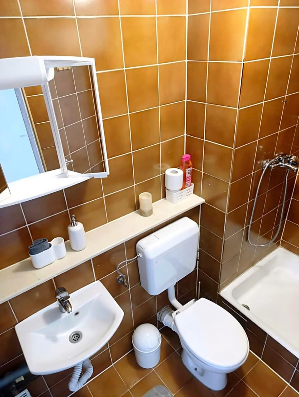 Quiet and Comfortable Apartment for Four Apartment in Ljubljana