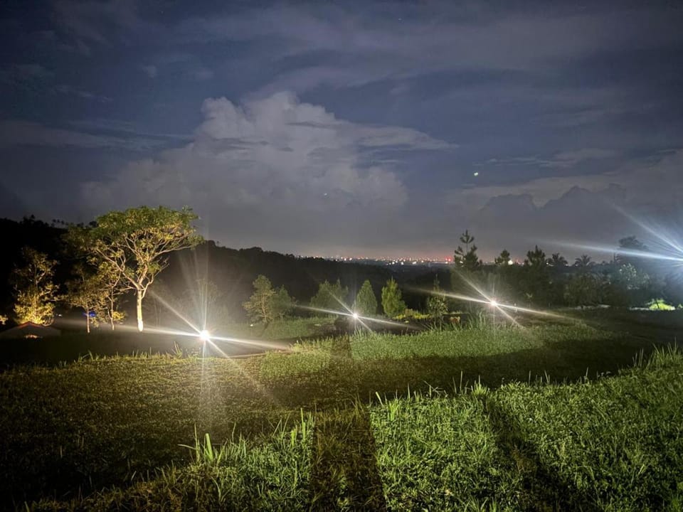 Night, Garden, Garden view