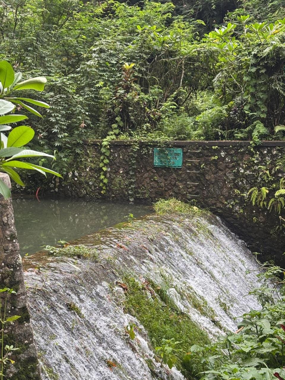 Neighbourhood, Natural landscape