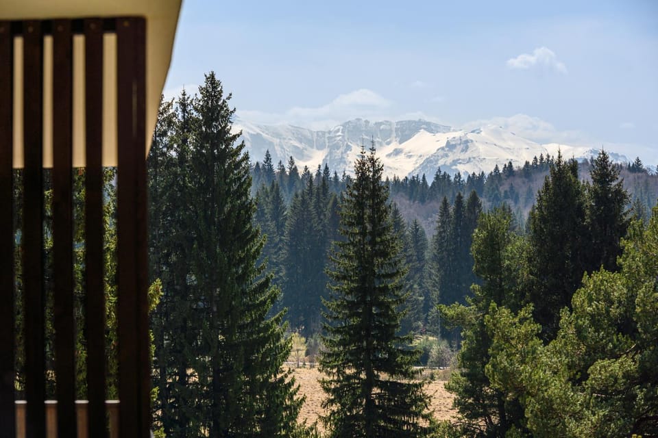 FLH - The Pine Nest Poiana Brașov - Mountain Retreat Apartment in Brasov