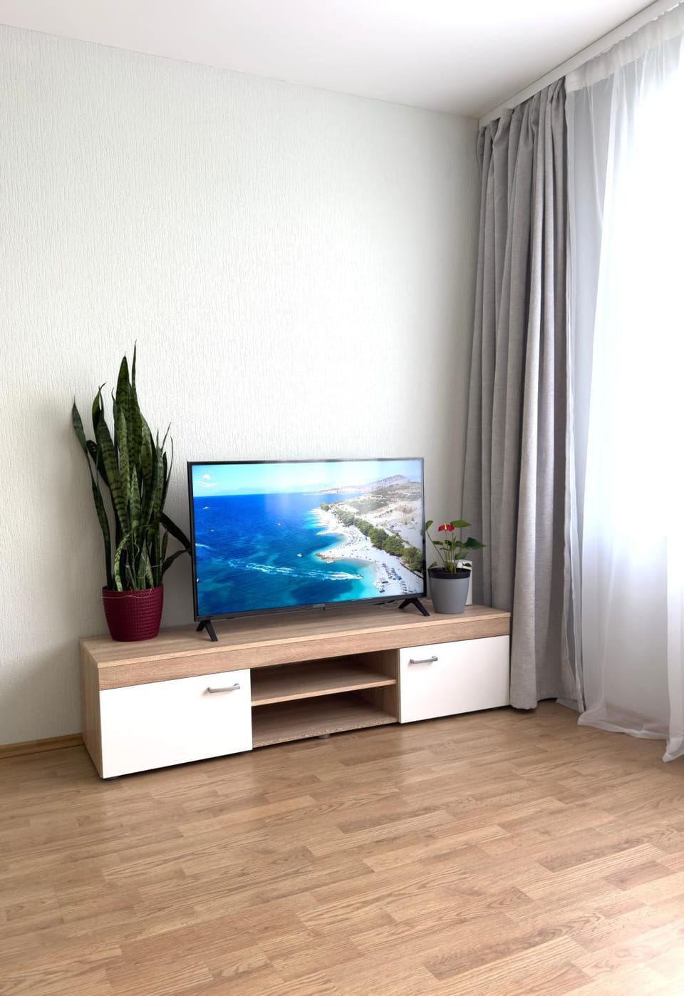 TV and multimedia