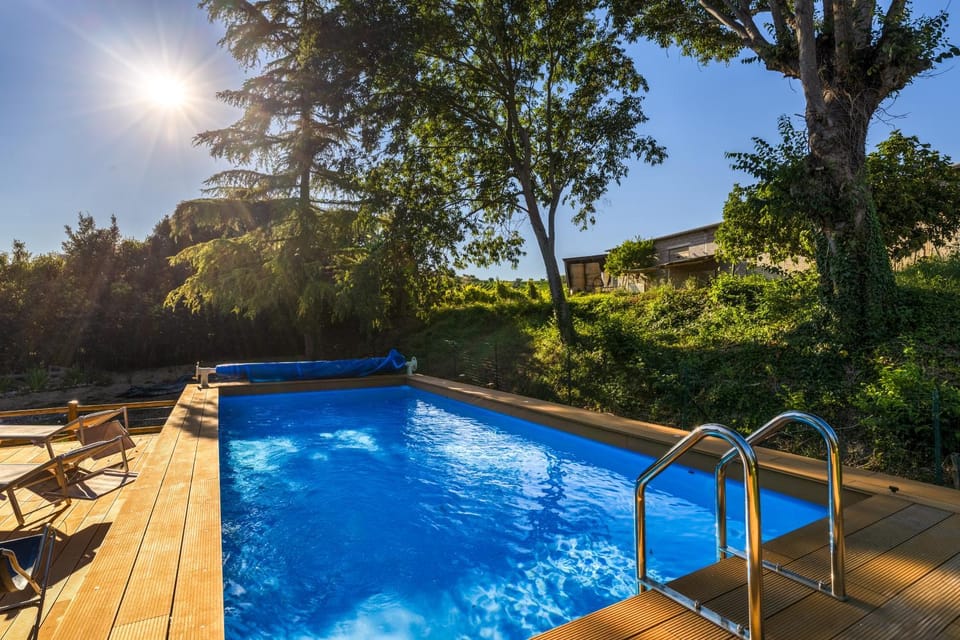 Garden, Pool view, Swimming pool