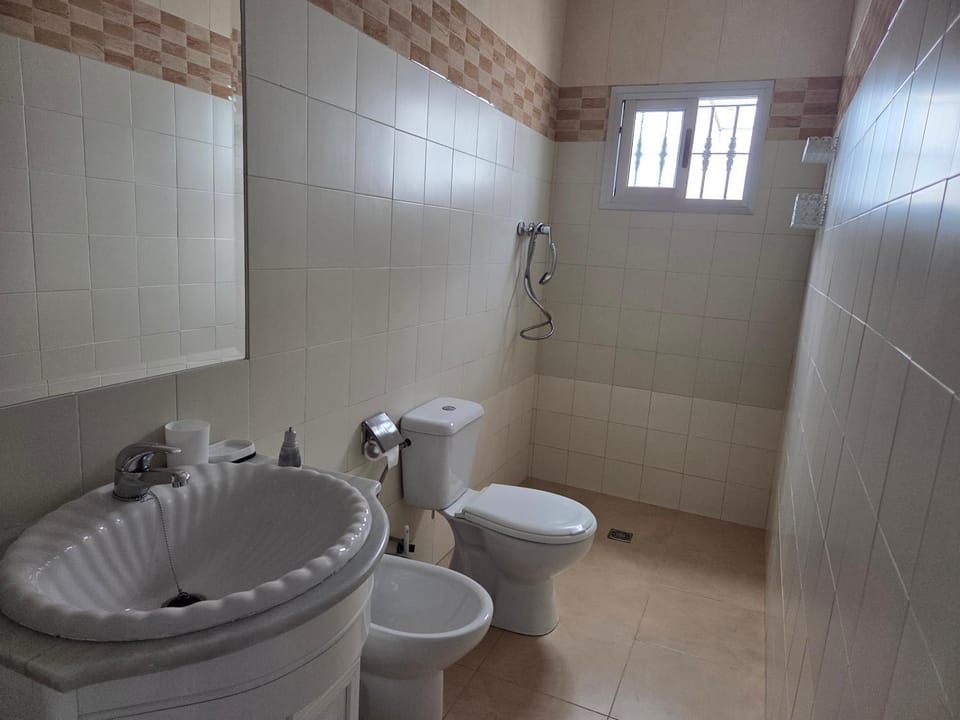 Shower, Toilet, Bathroom, bidet