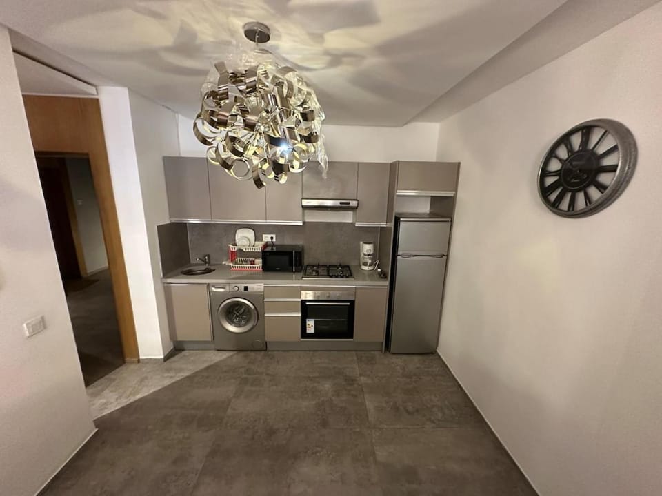 Kitchen or kitchenette, dishwasher, stove